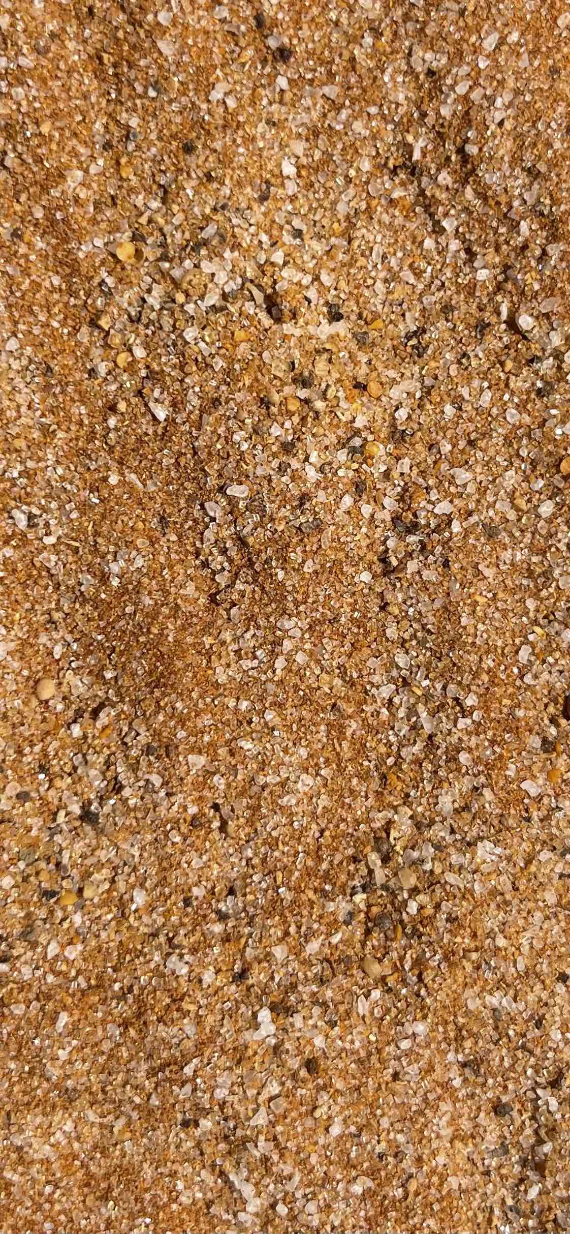 Sunflower State Rub - 150g